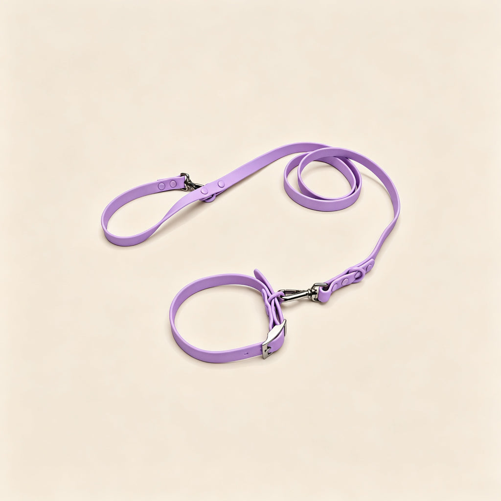 Everyday Comfort Collar+Everyday Comfort Leash