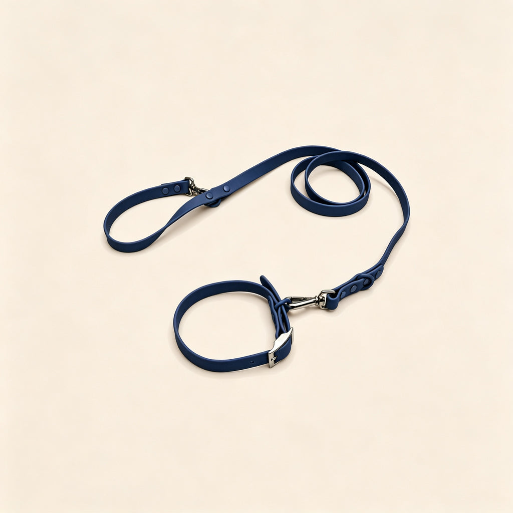 Everyday Comfort Collar+Everyday Comfort Leash