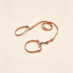 Everyday Comfort Collar+Everyday Comfort Leash