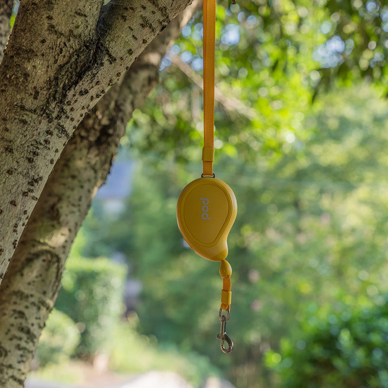 Pocket-Sized Retractable Dog Leash for Small Dogs