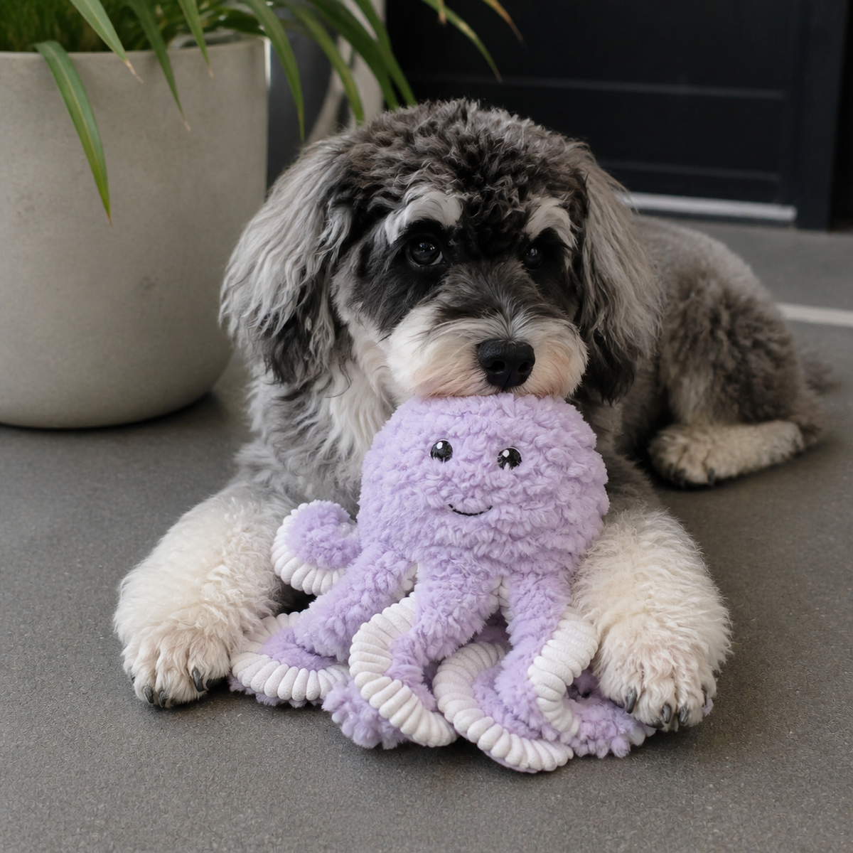 Lavender Octopus Plush Dog Toy — Soft Squeaky Cuddle Toy