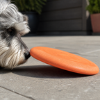 Soft Flying Disc — Easy Fetch Toy for Everyday Play