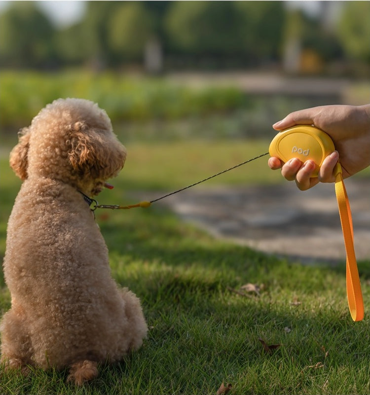 Pocket-Sized Retractable Dog Leash for Small Dogs