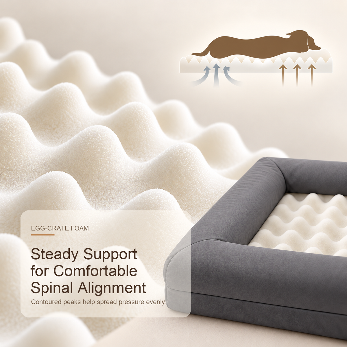 Supportive Egg-Crate Foam Dog Bed - Pressure Relief