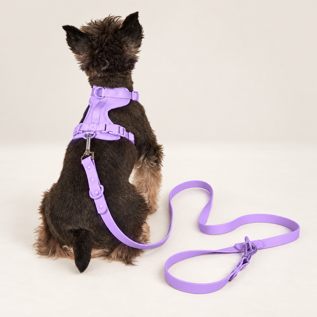 Everyday Comfort Leash