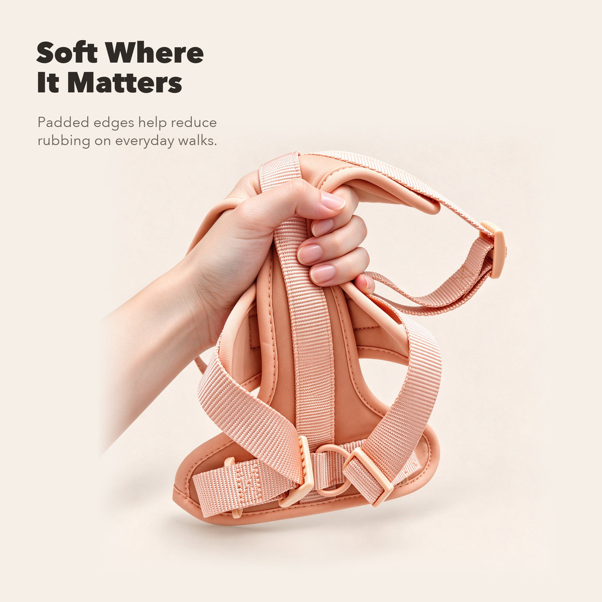 Everyday Comfort Harness+Everyday Comfort Leash